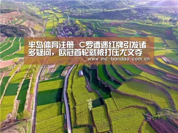 半岛体育官网