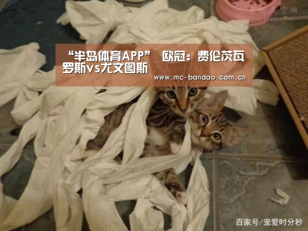 “半岛体育APP”
欧冠:费伦茨瓦罗斯vs尤文图斯(图4) 半岛体育注册