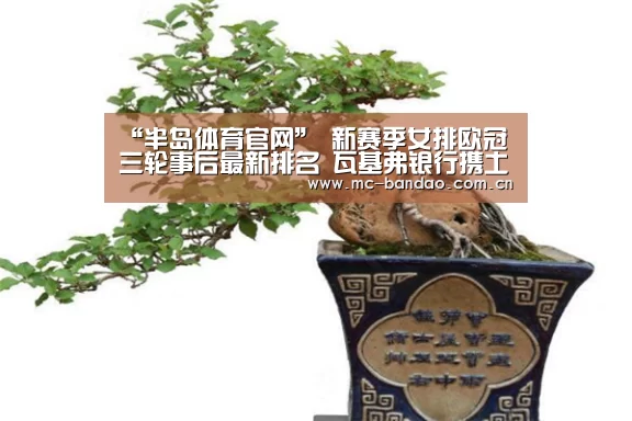 半岛体育APP