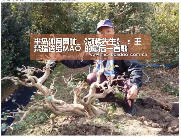 半岛体育网址_《鼓楼先生》 :王梵瑞送给MAO 的最后一首歌(图2) 半岛体育注册