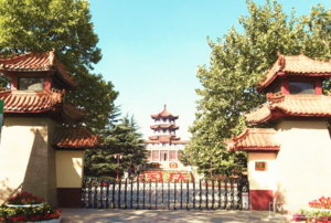 半岛体育网址_《鼓楼先生》 :王梵瑞送给MAO 的最后一首歌(图3) 半岛体育下载