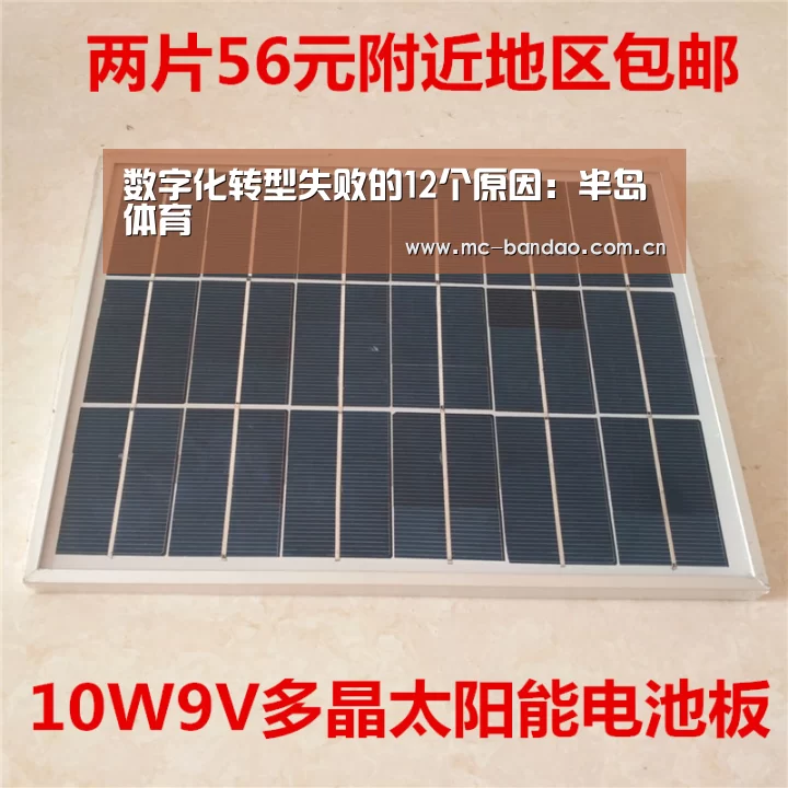 数字化转型失败的12个原因:半岛体育(图3) 半岛体育官网