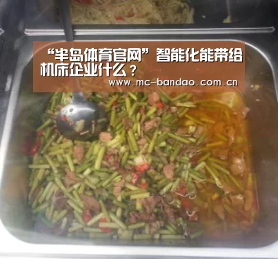 “半岛体育官网”智能化能带给机床企业什么?(图1) 半岛体育网址