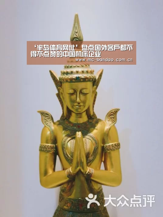 ‘半岛体育网址’盘点国外客户都不得不点赞的中国机床企业(图3) 半岛体育APP